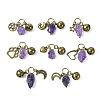 Natural Amethyst Pet Collar Charms HJEW-PH01731-1