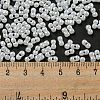 Glass Seed Beads SEED-K009-02B-24-4