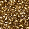 Silver Lined Glass Seed Beads SEED-T007-18A-11-3