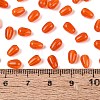 Transparent Glass Beads GLAA-Q113-01A-A05-4