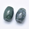 Natural Moss Agate Beads G-P384-U17-2