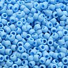 TOHO 6/0 Round Beads X-SEED-TR06-0403F-4