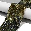 Natural Green Tourmaline Beads Strands G-B088-C07-04-2