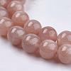 Natural Sunstone Beads Strands G-J157-10mm-07-5