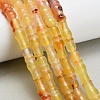 Natural Agate Beads Strands G-Z144-A02-01B-1