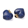 Natural Mixed Gemstone Pendants G-B188-04G-4