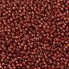 TOHO 11/0 Round Beads X-SEED-TR11-PF2113-2
