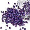 TOHO 6/0 Round Beads SEED-XTR06-0461-1