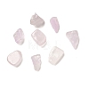 Natural Kunzite Chip Beads G-Q193-03A-2