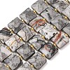 Natural Map Stone Beads Strands G-F839-A32-01-2