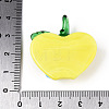 Handmade Lampwork Pendants LAMP-N034-15B-3