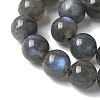 Natural Labradorite Beads Strands G-U017-8MM-01-4