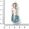 Resin & Glass Glass Wishing Bottle Pendants RE-CBA5B90-01-3