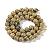 Natural Verdite Stone Beads Strands G-P530-B07-03-3