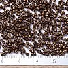 MIYUKI Delica Beads SEED-X0054-DB1051-4