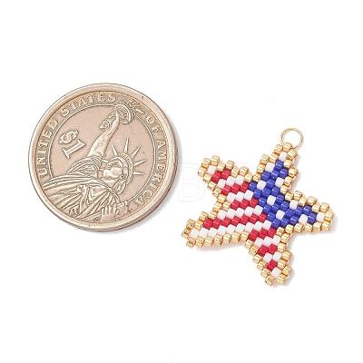 Glass Seed Beaded Pendants PALLOY-MZ01256-1