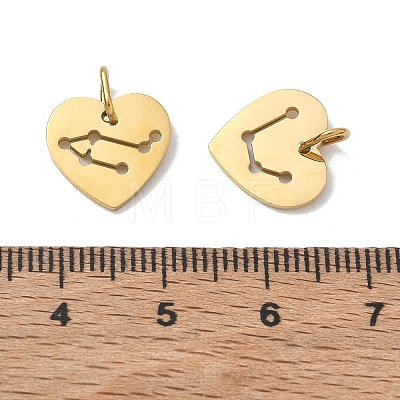 304 Stainless Steel Charms SA-CBAE491-02G-1