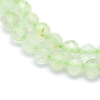 Natural Prehnite Beads Strands G-E411-25-2mm-1