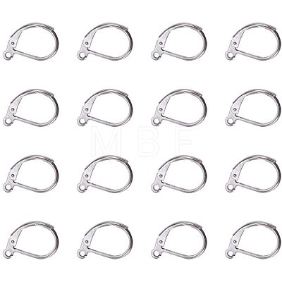 304 Stainless Steel Leverback Earring Findings STAS-PH0018-28P-1