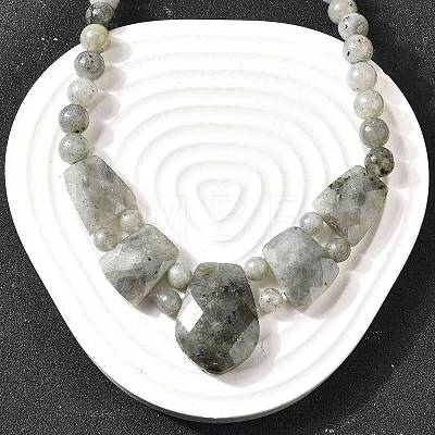 Natural Labradorite Faceted Bib Graduated Beaded Necklaces for Women NJEW-B128-01P-1