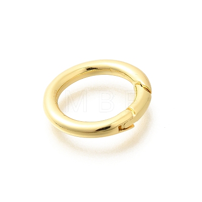 Brass Spring Gate Rings KK-L225-012G-1