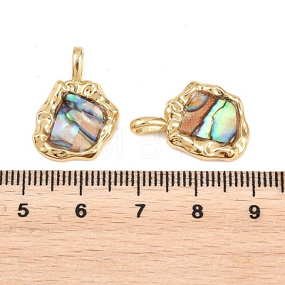 Brass Natural Paua Shell Irregular Pendants KK-I453-01G-03-1