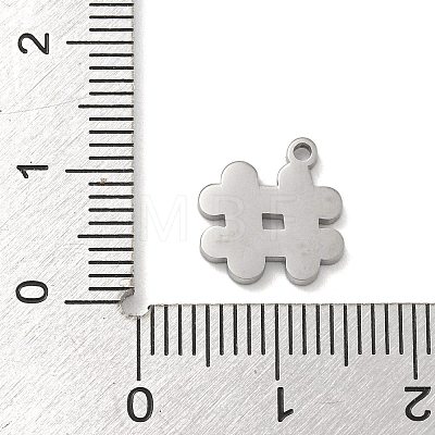 304 Stainless Steel Pendants STAS-M069-02E-P-1