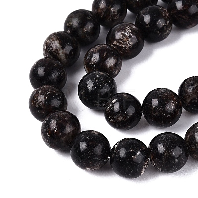 Natural Biotite Beads Strands G-Q616-01E-1