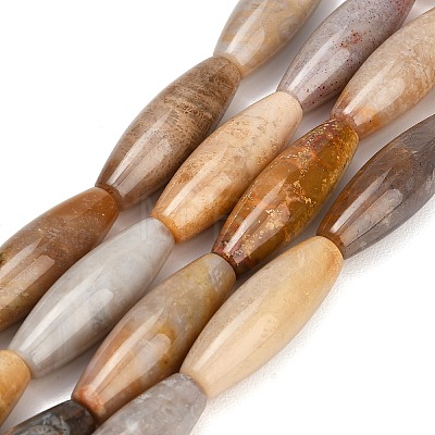 Natural Fossil Coral Beads Strands GG-CBA362F-03-1