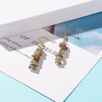 Natural Labradorite Chip Beaded Dangle Earrings EJEW-JE04788-04-1