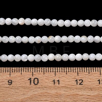 Natural Freshwater Shell Beads Strands SH-CBA2978-07D-01-1