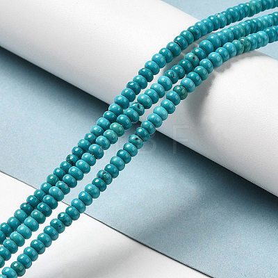 Natural Howlite Beads Strands G-B049-C01-09A-1