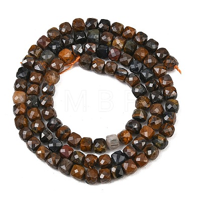 Natural Tiger Eye Beads Strands G-B107-B02-02-1