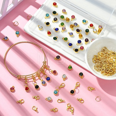 DIY Birthstone Charm Bangle & Pendant Decoration Making Kits DIY-YW0008-95-1