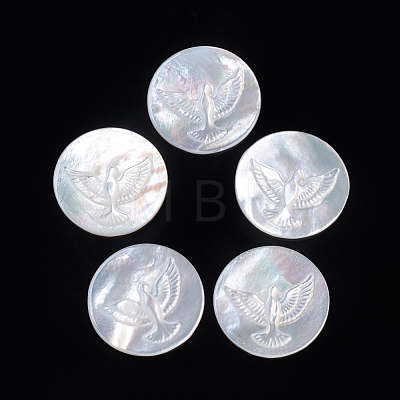 Natural White Shell Cabochons SSHEL-D083-09-1