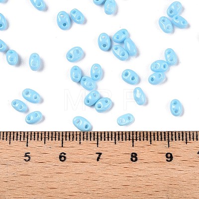 Baking Paint Glass Seed Beads SEED-T006-03I-1