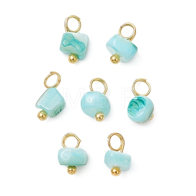 Dyed Natural Freshwater Shell Nuggets Charms PALLOY-JF05032-01-1