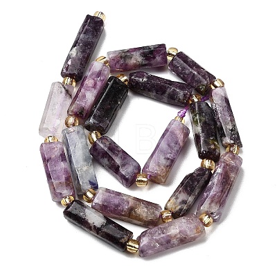 Natural Lepidolite/Purple Mica Stone Beads Strands G-D353-A17-1