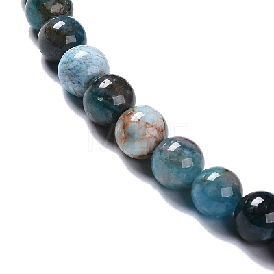 Natural Apatite Beads Strands G-H287-01A-1