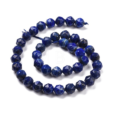 Natural Lapis Lazuli Beads Strands G-K323-21-1