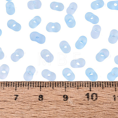 FGB Frosted Transparent Glass Seed Beads SEED-N013-06A-11-1