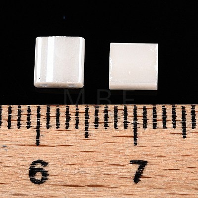 2-Hole Baking Paint Glass Seed Beads SEED-S023-17C-16-1