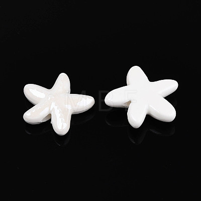 Handmade Porcelain Beads PORC-Q002-02E-01-1