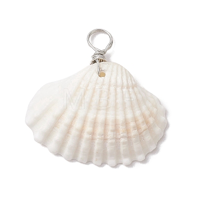 Natural Ark Shell Pendants PALLOY-JF02679-02-1