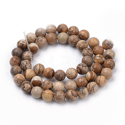 Natural Picture Jasper Beads Strands G-S259-27-6mm-1