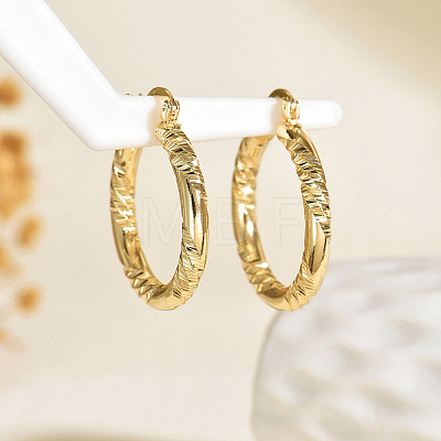 Brass Textured Rectangle Hoop Earrings TU9536-5-1