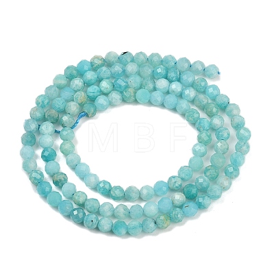 Natural Amazonite Beads Strands G-P572-B04-A-1