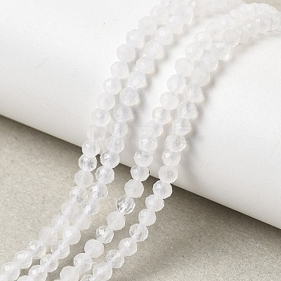 Natural Rainbow Moonstone Beads Strands G-H336-A13-02-1