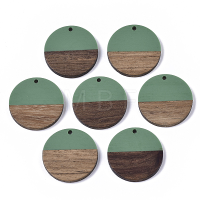 Resin & Wood Pendants RESI-S358-02B-24-1