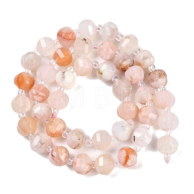 Natural Cherry Blossom Agate Beads Strands G-G182-B41-03-1